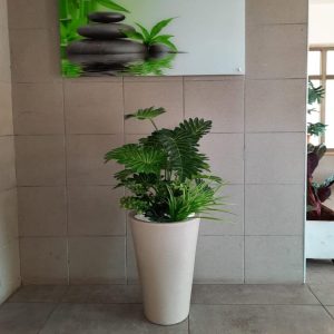 קוקטייל צמחים כד לבן